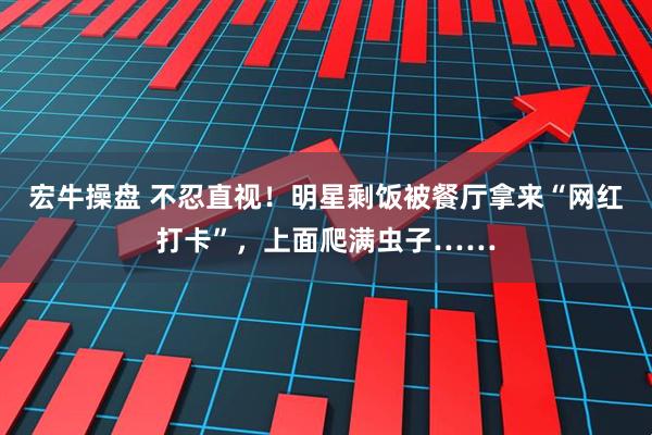 宏牛操盘 不忍直视!明星剩饭被餐厅拿来“网红打卡”,上面爬满虫子……