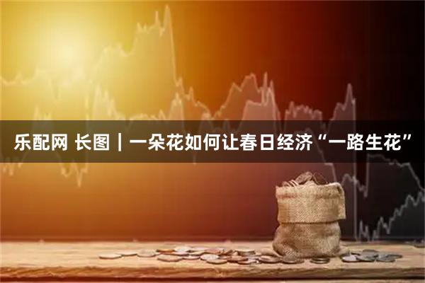 乐配网 长图｜一朵花如何让春日经济“一路生花”